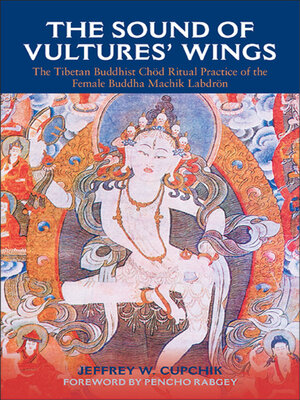 cover image of The Sound of Vultures' Wings